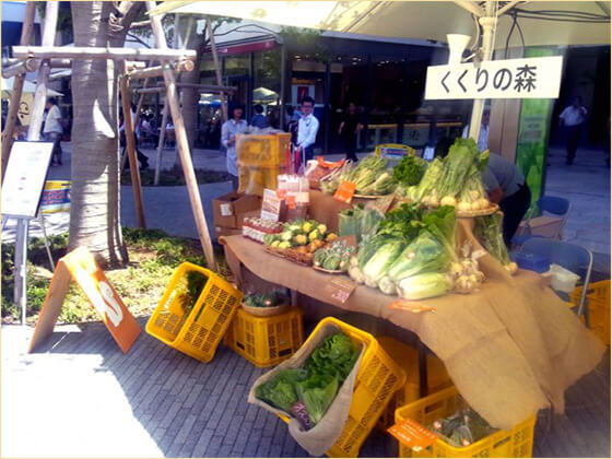 「田舎で採れた野菜たちを、全国へ」農産物の加工・販売